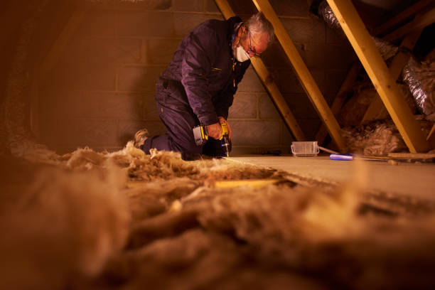 Best Residential Insulation in North Les, AK